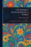 The Strange Adventures of a Pebble The Strange Adventures of a Pebble