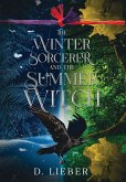 The Winter Sorcerer and the Summer Witch The Winter Sorcerer and the Summer Witch