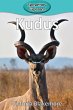 Kudus - Bild 1