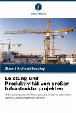 Leistung und Produktivität von großen Infrastrukturprojekten Leistung und Produktivität von großen Infrastrukturprojekten