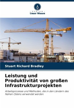 Cover Leistung und Produktivität von großen Infrastrukturprojekten