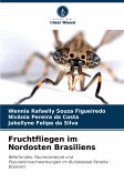 Fruchtfliegen im Nordosten Brasiliens Fruchtfliegen im Nordosten Brasiliens
