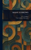 Many Furrows Many Furrows