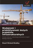 Wydajno¿¿ i produktywno¿¿ du¿ych projektów infrastrukturalnych Wydajno¿¿ i produktywno¿¿ du¿ych projektów infrastrukturalnych