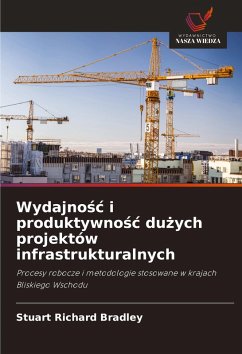 Cover Wydajno¿¿ i produktywno¿¿ du¿ych projektów infrastrukturalnych
