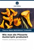 Wie man die Pilzsorte Austernpilz produziert
