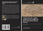 Toponimia de origen árabe en las calles de Belo Horizonte Minas Gerais Toponimia de origen árabe en las calles de Belo Horizonte Minas Gerais