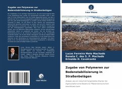 Cover Zugabe von Polymeren zur Bodenstabilisierung in Straßenbelägen