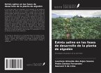 Estrés salino en las fases de desarrollo de la planta de algodón