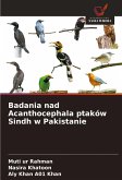 Badania nad Acanthocephala ptaków Sindh w Pakistanie