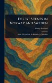 Forest Scenes in Norway and Sweden
