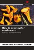 How to grow oyster mushrooms How to grow oyster mushrooms