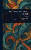 Within a Budding Grove