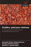¿ció¿ka: pokrywa ro¿linna