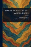 Forest Pictures in the Adirondacks Forest Pictures in the Adirondacks