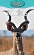 Kudus - Bild 1