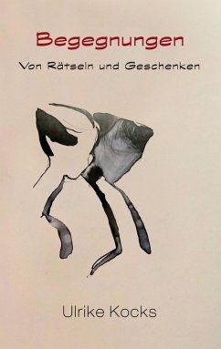 Cover Begegnungen - Von Rätseln und Geschenken