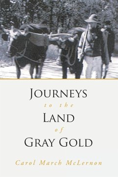 Cover Journeys to the Land of Gray Gold