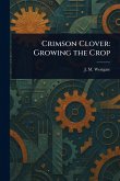 Crimson Clover
