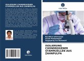 ISOLIERUNG CHONDROGENER STAMMZELLEN AUS ZAHNPULPA ISOLIERUNG CHONDROGENER STAMMZELLEN AUS ZAHNPULPA