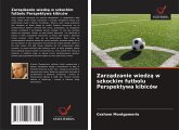 Zarz¿dzanie wiedz¿ w szkockim futbolu Perspektywa kibiców Zarz¿dzanie wiedz¿ w szkockim futbolu Perspektywa kibiców