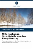 Untersuchungs-Schnittstelle aus dem Fuzzy-Pentray Untersuchungs-Schnittstelle aus dem Fuzzy-Pentray