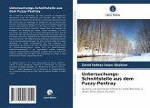 Untersuchungs-Schnittstelle aus dem Fuzzy-Pentray Untersuchungs-Schnittstelle aus dem Fuzzy-Pentray