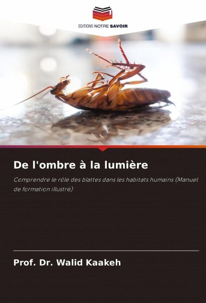 De l'ombre à la lumière De l'ombre à la lumière