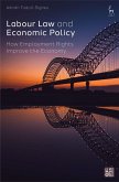 Labour Law and Economic Policy Labour Law and Economic Policy