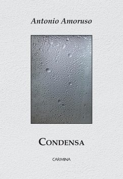 Condensa (eBook, ePUB) - Amoruso, Antonio