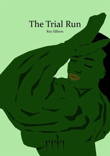 The Trial Run (eBook, ePUB)