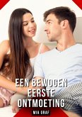 Een bewogen eerste ontmoeting (eBook, ePUB)