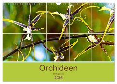Orchideen Bildergalerie (Wandkalender 2026 DIN A3 quer), CALVENDO Monatskalender