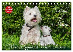 Kobold auf 4 Pfoten - West Highland White Terrier (Tischkalender 2026 DIN A5 quer), CALVENDO Monatskalender