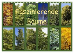 Faszinierende Bäume (Wandkalender 2026 DIN A3 quer), CALVENDO Monatskalender Cover Faszinierende Bäume (Wandkalender 2026 DIN A3 quer), CALVENDO Monatskalender