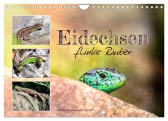 Cover Eidechsen, flinke Räuber (Wandkalender 2026 DIN A4 quer), CALVENDO Monatskalender
