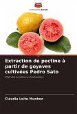 Extraction de pectine à partir de goyaves cultivées Pedro Sato