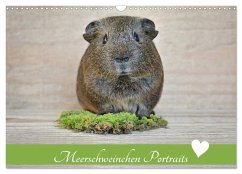 Meerschweinchen Portraits (Wandkalender 2026 DIN A3 quer), CALVENDO Monatskalender Meerschweinchen Portraits (Wandkalender 2026 DIN A3 quer), CALVENDO Monatskalender