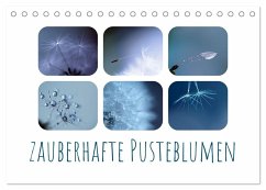 Zauberhafte Pusteblumen (Tischkalender 2026 DIN A5 quer), CALVENDO Monatskalender Zauberhafte Pusteblumen (Tischkalender 2026 DIN A5 quer), CALVENDO Monatskalender
