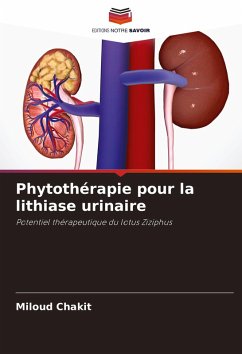 Cover Phytothérapie pour la lithiase urinaire