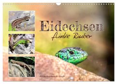 Cover Eidechsen, flinke Räuber (Wandkalender 2026 DIN A3 quer), CALVENDO Monatskalender