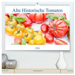 Alte Historische Tomaten (hochwertiger Premium Wandkalender 2026 DIN A2 quer), Kunstdruck in Hochglanz Alte Historische Tomaten (hochwertiger Premium Wandkalender 2026 DIN A2 quer), Kunstdruck in Hochglanz