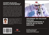 ISOLEMENT DE CELLULES SOUCHES CHONDROGÉNIQUES À PARTIR DE LA PULPE DENTAIRE ISOLEMENT DE CELLULES SOUCHES CHONDROGÉNIQUES À PARTIR DE LA PULPE DENTAIRE