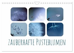Zauberhafte Pusteblumen (Wandkalender 2026 DIN A4 quer), CALVENDO Monatskalender Zauberhafte Pusteblumen (Wandkalender 2026 DIN A4 quer), CALVENDO Monatskalender