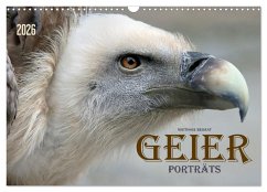 Cover GEIERPORTRÄTS (Wandkalender 2026 DIN A3 quer), CALVENDO Monatskalender