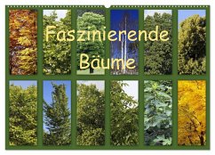 Cover Faszinierende Bäume (Wandkalender 2026 DIN A2 quer), CALVENDO Monatskalender