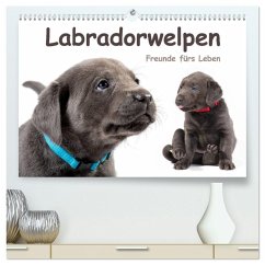 Labradorwelpen - Freunde fürs Leben (hochwertiger Premium Wandkalender 2026 DIN A2 quer), Kunstdruck in Hochglanz