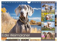 Cover Edle Weimaraner. Loyale Silberseelen im Licht der Natur (Wandkalender 2026 DIN A4 quer), CALVENDO Monatskalender