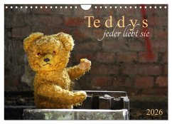 Teddys...jeder liebt sie (Wandkalender 2026 DIN A4 quer), CALVENDO Monatskalender