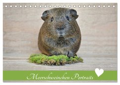 Meerschweinchen Portraits (Tischkalender 2026 DIN A5 quer), CALVENDO Monatskalender Meerschweinchen Portraits (Tischkalender 2026 DIN A5 quer), CALVENDO Monatskalender